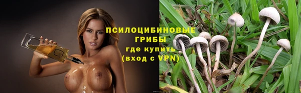 стафф Белокуриха