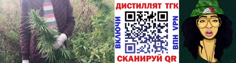 Купить закладки  Курганинск  ТГК концентрат 