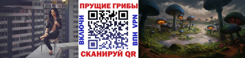 Галлюциногенные грибы мицелий  Купить закладки  Курганинск 